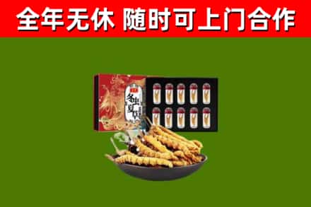 甘南烟酒回收冬虫夏草礼盒.jpg